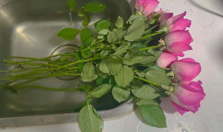 怎么醒花 怎么醒花视频