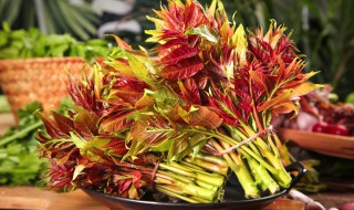 香椿放冰箱里可以吃吗 鲜香椿放冰箱里还能吃吗