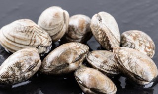 花蛤放冰箱冷冻能吃吗 花蛤能放冷冻吗?